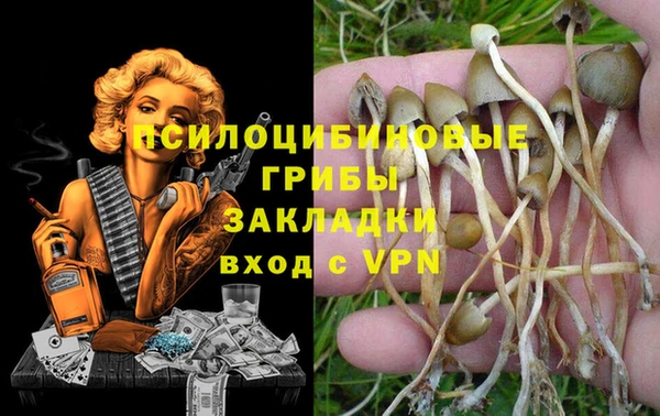 мдма Заволжск